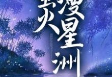 免费在线阅读萤火漫星洲小说的正规网站有哪些？-贝壳文学