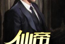 凌毅齐诗韵小说在哪里可以看-贝壳文学
