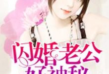 闪婚老公好神秘小说，闪婚老公好神秘最新章节-贝壳文学