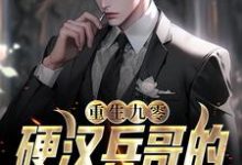 免费看重生九零，硬汉兵哥的甜美娇妻小说的网站有哪些？-贝壳文学