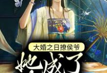 宋如棠沈怀景的完整故事在哪里？读大婚之日撩侯爷，她成了朱砂痣小说-贝壳文学