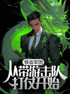 铁血军团，从带游击队打仗开始小说完结了吗？在哪里可以免费读到？