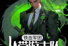 林锋李云龙为主角的小说叫什么?免费看铁血军团,从带游击队打仗开始-贝壳文学