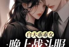 白天乖乖女，晚上战斗服第一杀手小说有没有完结版在线？-贝壳文学