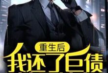 《重生后,我还了巨债追回前妻》小说章节列表免费试读,叶辰秦美云小说在线阅读-贝壳文学