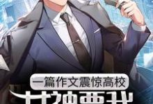 完结版《一篇作文震惊高校,女神要我联系方式》免费阅读-贝壳文学