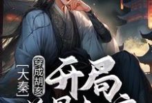 主人公 胡亥嬴政小说大秦:穿成胡亥,开局逆骨赵高在线章节阅读-贝壳文学