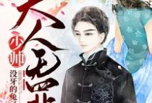 求推荐可以免费阅读少帅，夫人无罪小说的网站-贝壳文学