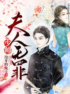 夏煜宁龙应天小说《少帅，夫人无罪》在线阅读