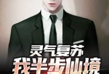 灵气复苏：我半步仙境成了人间第一小说全文阅读需要付费吗？寻找免费资源-贝壳文学