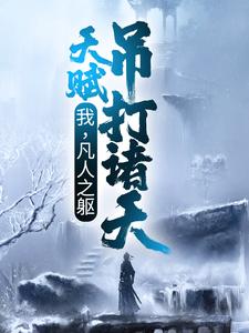 我，凡人之躯，天赋吊打诸天叶辰小说免费阅读