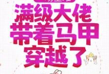 宋满月是哪本书的主角?一场空难,满级大佬带着马甲穿越了免费读-贝壳文学