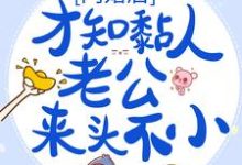 已完结小说《闪婚后，才知黏人老公来头不小》章节免费阅读-贝壳文学