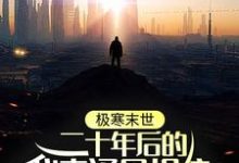林逸为主角的小说极寒末世：二十年后的我来通风报信在线阅读-贝壳文学