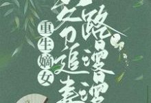 小说《重生嫡女:王爷追妻路漫漫》章节免费阅读-贝壳文学