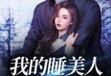 我的睡美人总裁老公小说，我的睡美人总裁老公最新章节-贝壳文学