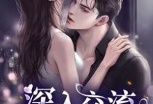 主角沈辞顾烟小说完结版在线阅读,深入交流免费看-贝壳文学