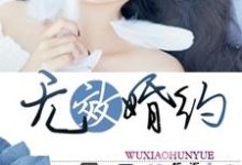 无效婚约小说的免费阅读版本在哪里可以找到?-贝壳文学