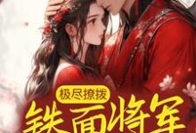 萧望舒陈褚小说叫什么（极尽撩拨：铁面将军沦陷了免费阅读）-贝壳文学