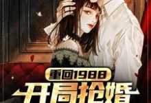 免费看重回1988，开局抢婚抱得美人归小说的网站有哪些？-贝壳文学