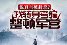 说真言被封杀？我转身考编整顿军营沈赫，说真言被封杀？我转身考编整顿军营在线无弹窗阅读-贝壳文学