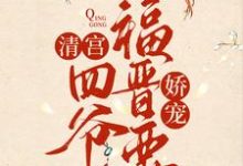 主角伊尔木胤禛小说清宫：四爷福晋要娇宠免费阅读-贝壳文学