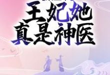 小说《禀王爷,王妃她真是神医》章节免费阅读-贝壳文学