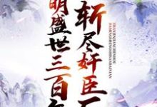 哪里能找到斩尽奸臣后，大明盛世三百年小说的最新更新和免费章节？-贝壳文学