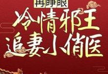 再睁眼，冷情邪王追妻小俏医免费阅读，再睁眼，冷情邪王追妻小俏医云月汐欧阳灏轩-贝壳文学