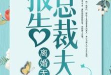 已完结小说《报告总裁夫人，离婚无效！》在线章节阅读-贝壳文学