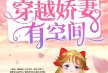 勇闯七零：穿越娇妻有空间主角沈微谢延小说完结版章节在线阅读-贝壳文学