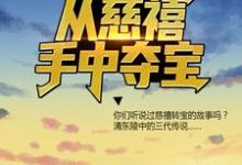 求古玩捡漏：从慈禧手中夺宝小说免费资源-贝壳文学