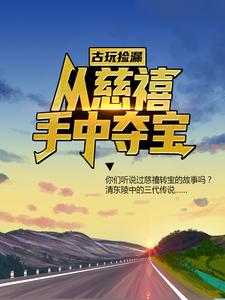 求古玩捡漏：从慈禧手中夺宝小说免费资源