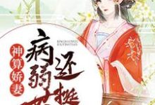 神算娇妻:病弱世子还挺甜主角江晚白祁青行小说完结版章节在线阅读-贝壳文学
