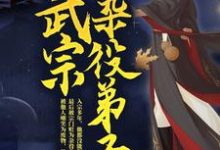 武宗杂役弟子叶天苏夭夭小说在线章节目录阅读最新章节-贝壳文学