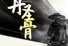 免费看天丹圣骨小说的网站有哪些？-贝壳文学