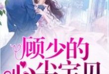 小说《专属蜜恋：顾少的心尖宝贝》在线章节阅读-贝壳文学