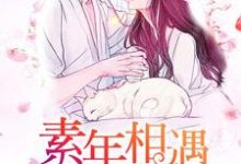 男女主人公程诗晓陆邵阳小说素年相遇的我们章节免费阅读-贝壳文学