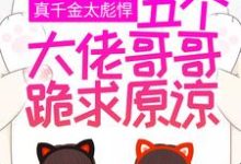 真千金太彪悍，五个大佬哥哥跪求原谅颜夏小说在线章节目录阅读最新章节-贝壳文学