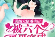 小说《满级大佬重生后，被六个哥哥宠成天上月》在线章节阅读-贝壳文学