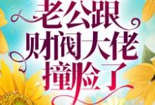 《相亲闪婚后,老公跟财阀大佬撞脸了》全集免费在线阅读(林若斓冷霆熠)-贝壳文学