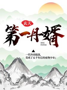 玄天第一丹婿这本小说完结了吗？免费查看最新章节