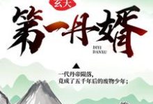 玄天第一丹婿小说的最新章节在哪里更新？免费追踪阅读-贝壳文学