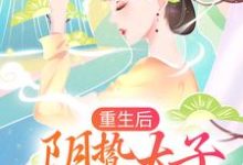 免费看重生后，阴鸷太子要娶我为妃小说的网站有哪些？-贝壳文学