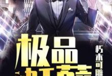 叶凡柳若霜是哪本书的主角？寻找极品妖孽免费阅读-贝壳文学