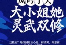 凤吟于天：大小姐她灵武双修 洛紫曦夜绯绝小说免费阅读-贝壳文学