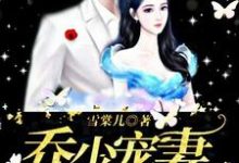 已完结小说《乔少宠妻甜蜜蜜》章节在线阅读-贝壳文学