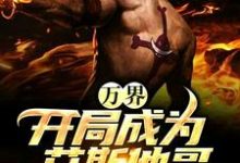 万界：开局成为艾斯他哥小说的无弹窗阅读体验，寻找免费阅读网站-贝壳文学