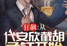 《狂飙：从代安欣截胡孟钰开始》小说章节列表免费试读，李浩孟钰小说在线阅读-贝壳文学