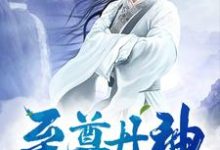小说《至尊丹神》章节免费阅读-贝壳文学